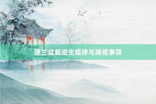 建兰盆栽滋生规律与凝视事项