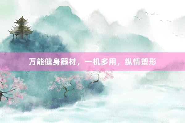 万能健身器材，一机多用，纵情塑形